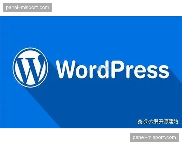 德甲引入网络安全压力测试，确保比赛日票务与核心转播系统免受攻击